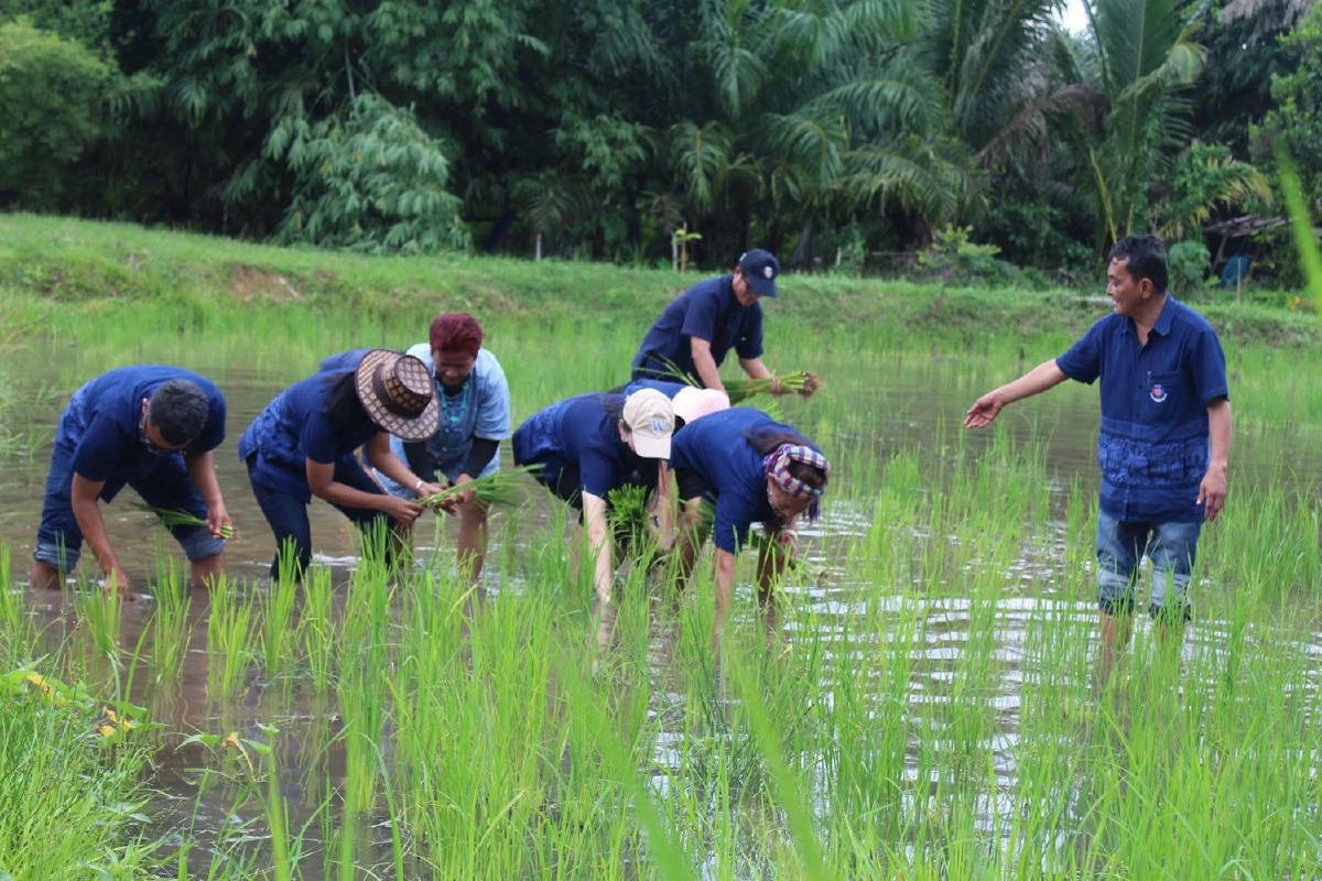 กระบี่หนุนปลูกพืชผสมผสานสร้างความมั่นคงด้านอาหาร