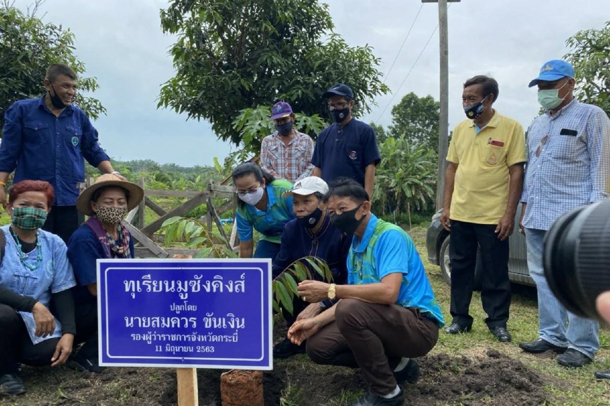 กระบี่หนุนปลูกพืชผสมผสานสร้างความมั่นคงด้านอาหาร กระบี่หนุนปลูกพืชผสมผสานสร้างความมั่นคงด้านอาหาร