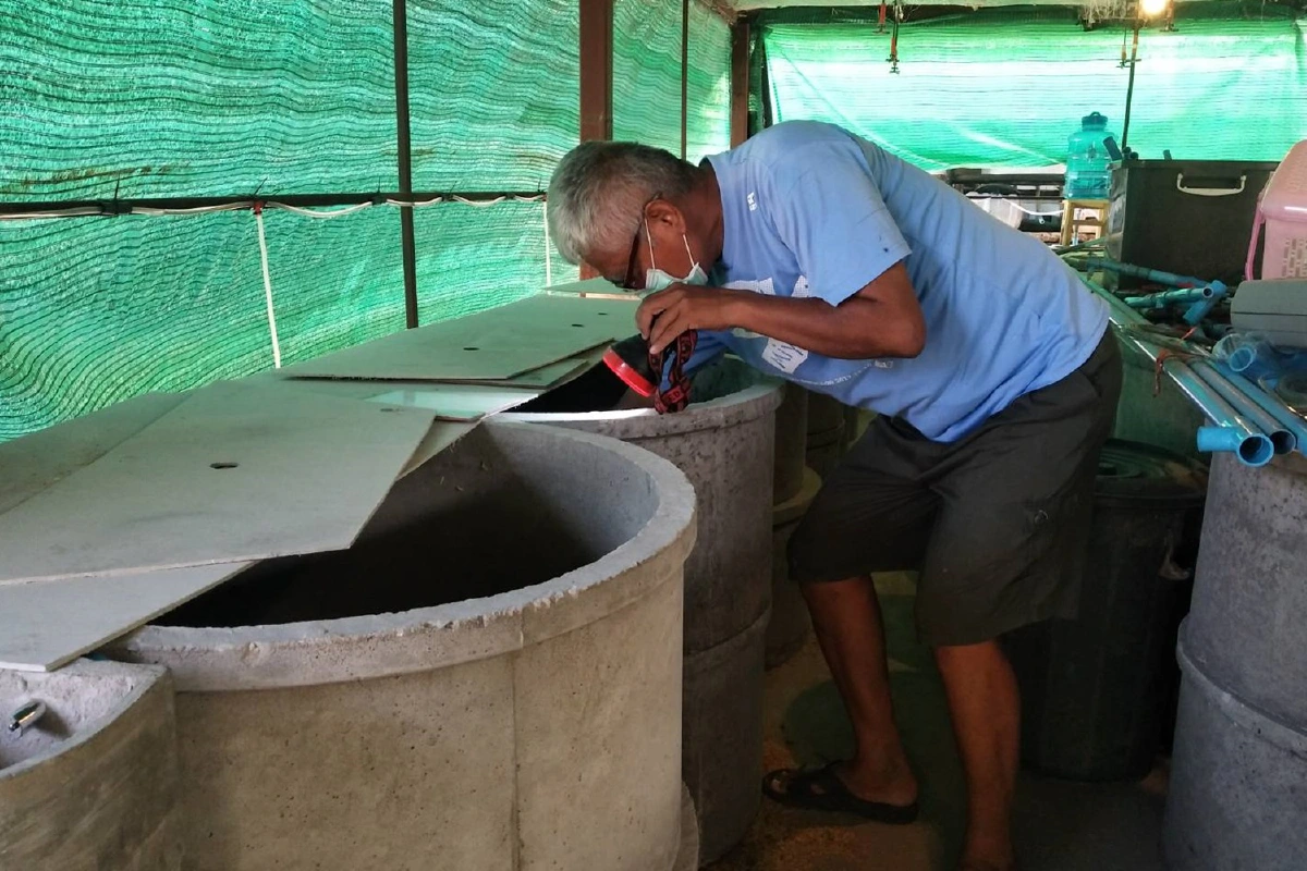 อดีตผู้คุมแบ่งพื้นที่ในบ้านเลี้่ยงหนูนาขายสร้างรายได้ดี