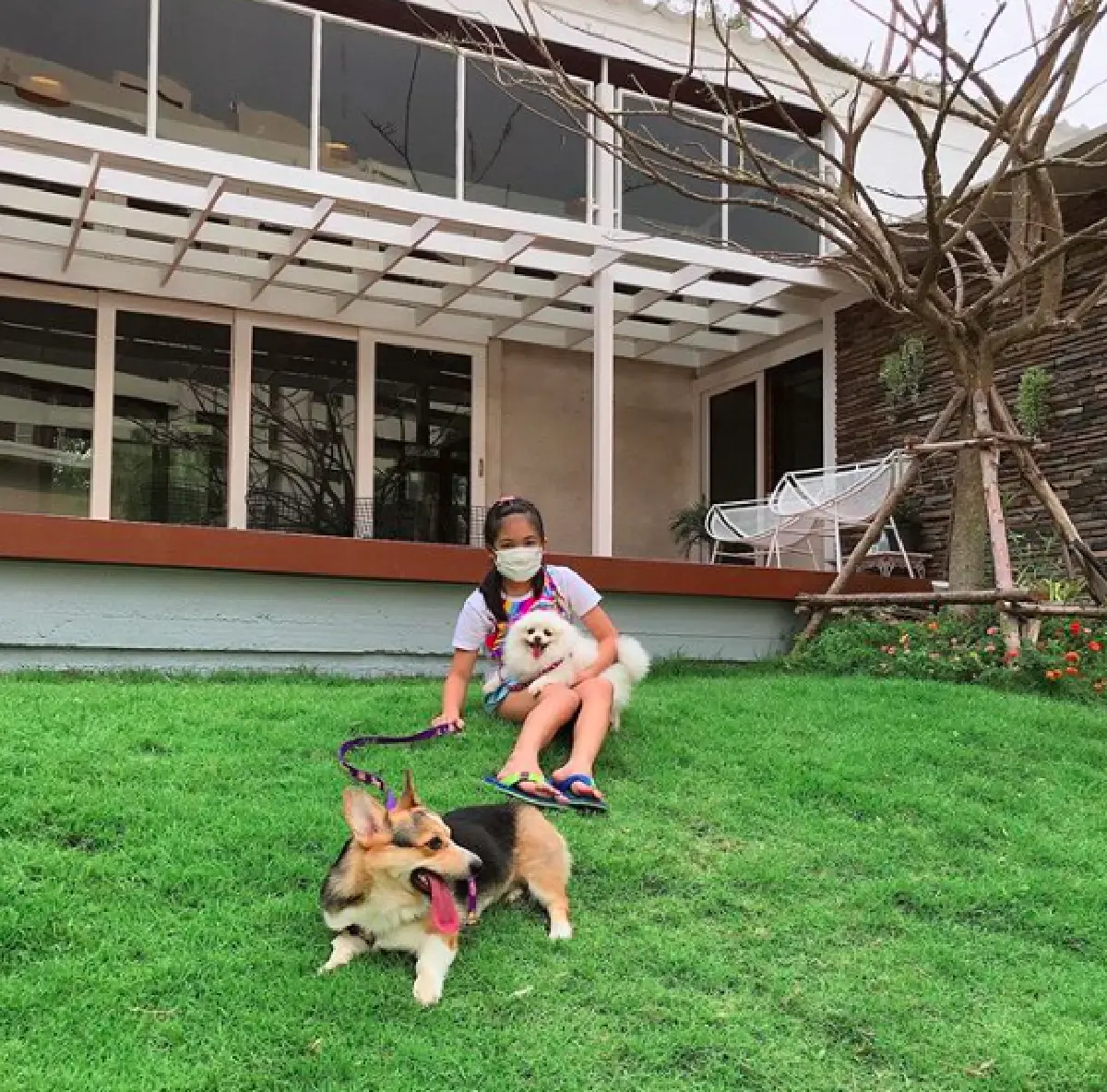 “บอย ปกรณ์” อวดโฉมบ้านในฝันของแม่ ที่ลงมือทำเองทุกอย่าง