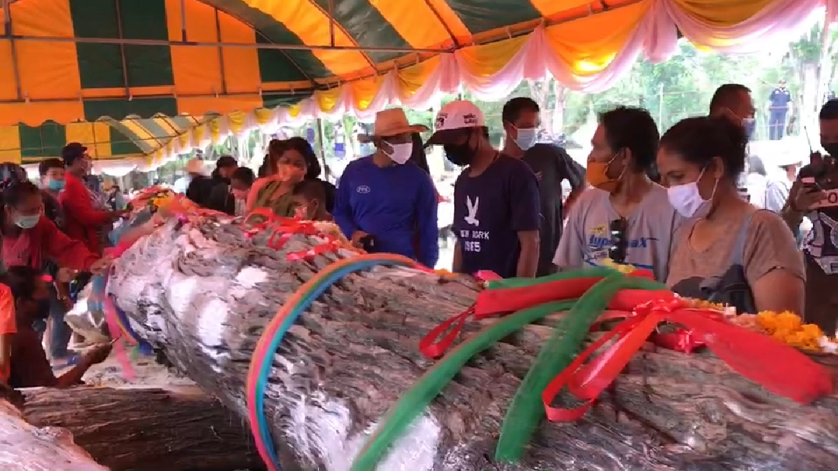 สารพัดเลขลอยเด่น"เจ้าแม่ตะเคียนทอง"อายุกว่า 400 ปีให้ลาภ