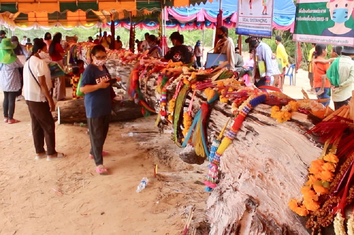 สารพัดเลขลอยเด่น"เจ้าแม่ตะเคียนทอง"อายุกว่า 400 ปีให้ลาภ