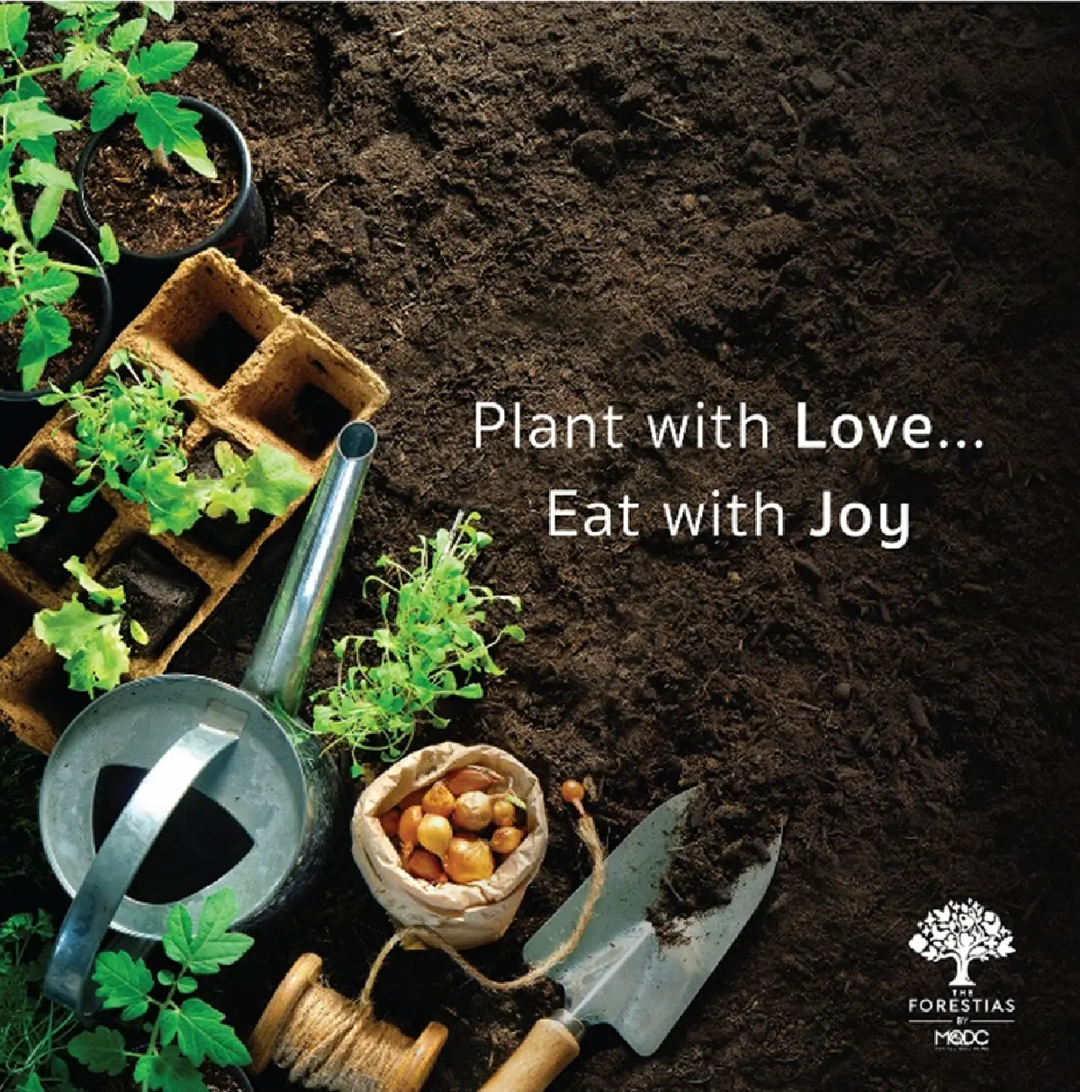 The Forestias by MQDC ชวนนางเอกสุดฮอต'ญาญ่า' เพิ่มพื้นที่สีเขียวในบ้าน