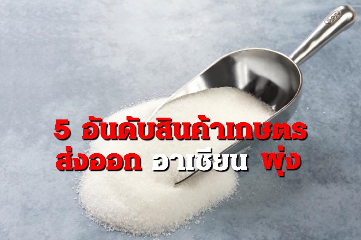 สินค้าเกษตรไทย ส่งออกอาเซียนไตรมาสแรก ได้ดุล 3.7 หมื่นล้าน สินค้าเกษตรไทย ส่งออกอาเซียนไตรมาสแรก ได้ดุล 3.7 หมื่นล้าน