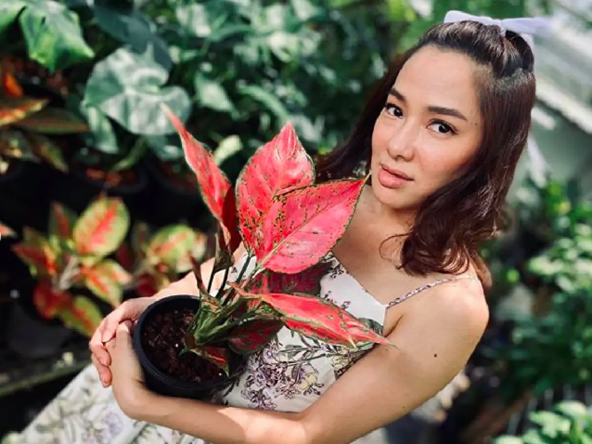  “จอย รินลณี” ทำไอจีสะเทือน หลังอวดความเซ็กซี่เบาๆ เผยแผ่นหลังขาวเนียน