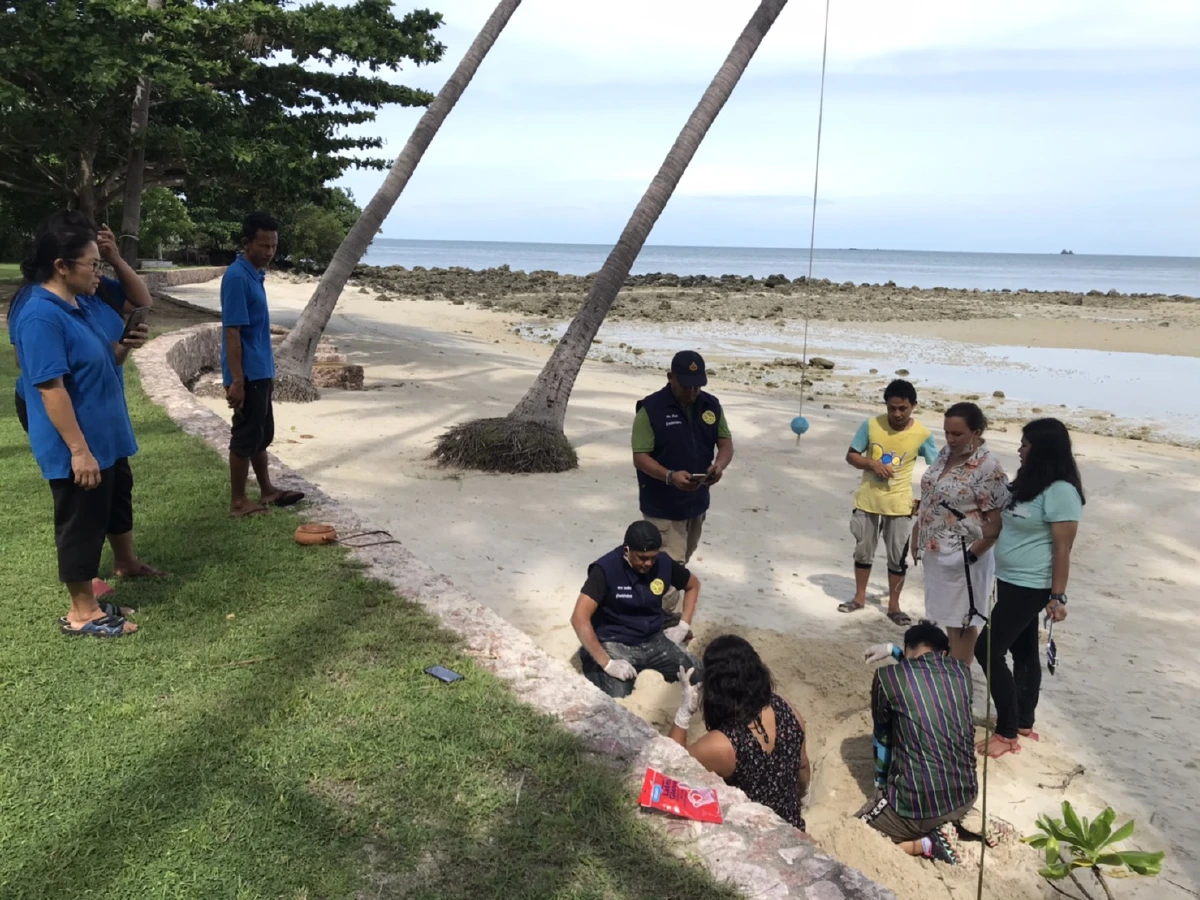 ข่าวดี!แม่เต่าทะเลวางไข่รังที่ 17 อีก 70 ฟองบนหาดแหลมสอเกาะสมุย