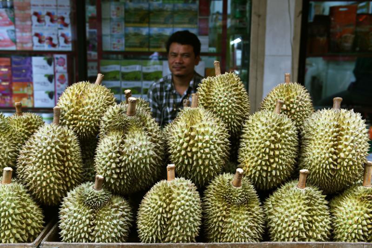 กลิ่นทุเรียนไทย ทำไปรษณีย์เยอรมันแตกตื่น หามจนท.เข้าโรงพยาบาล กลิ่นทุเรียนไทย ทำไปรษณีย์เยอรมันแตกตื่น หามจนท.เข้าโรงพยาบาล
