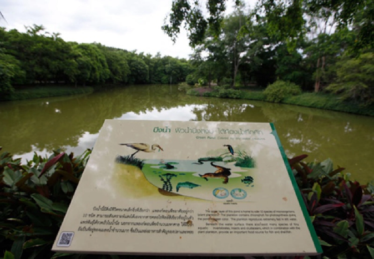 ปั้น 20 เส้นทางท่องเที่ยวชุมชน ต่อยอดแพคเกจ เที่ยวปันสุข