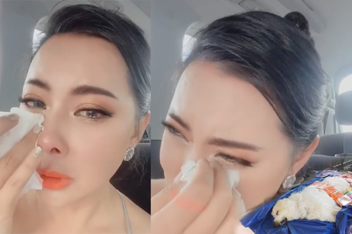 “บุ๋ม ปนัดดา” สุดเศร้า “ลุงเค็ม” สุนัขแสนรักจากไป หลังทุ่มเงินแสนช่วยรักษา “บุ๋ม ปนัดดา” สุดเศร้า “ลุงเค็ม” สุนัขแสนรักจากไป หลังทุ่มเงินแสนช่วยรักษา