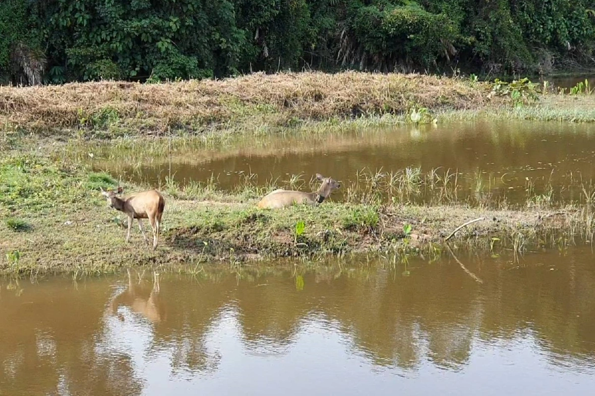 เขาใหญ่เปิด1ก.ค.จำกัดนักท่องเที่ยวไม่เกิน5,000คน/วัน