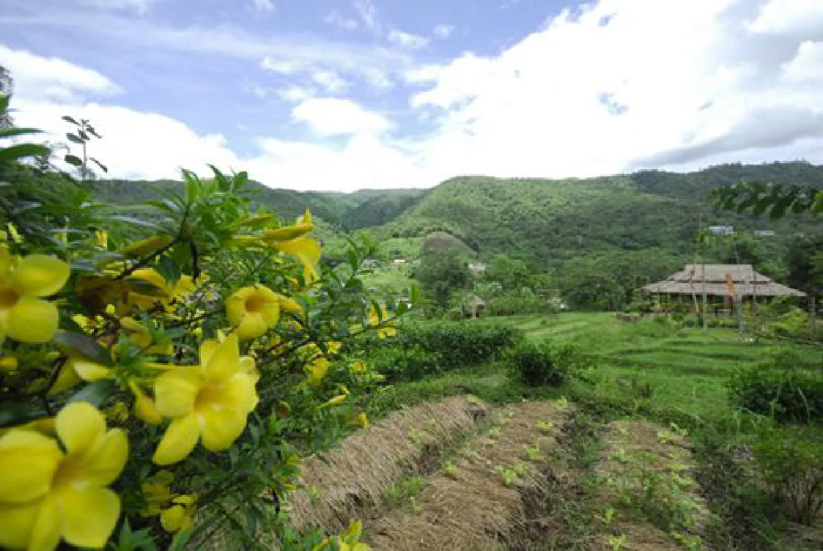 ส่ง”ถ้ำหลวง”ชิงจีโอปาร์คยูเนสโก พร้อมดัน4พื้นที่ขึ้นทะเบียนเมืองสร้างสรรค์