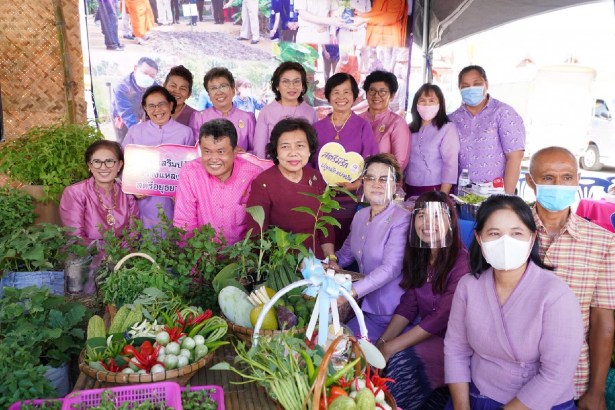 อธิบดีพช.ประกาศคิกออฟ"ปลูกผักสวนครัว เฟส 2"สร้างความมั่นคงด้านอาหาร อธิบดีพช.ประกาศคิกออฟ"ปลูกผักสวนครัว เฟส 2"สร้างความมั่นคงด้านอาหาร