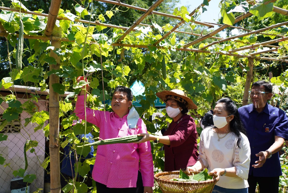 อธิบดีพช.ประกาศคิกออฟ"ปลูกผักสวนครัว เฟส 2"สร้างความมั่นคงด้านอาหาร