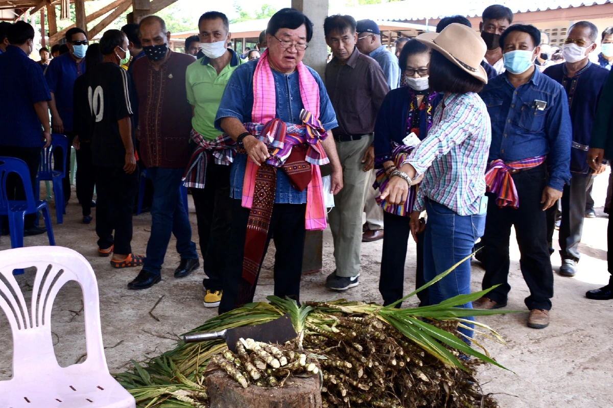 "ประภัตร"หนุนเกษตรกรภาคอิสานปลูกหญ้าเนเปียร์สร้างรายได้