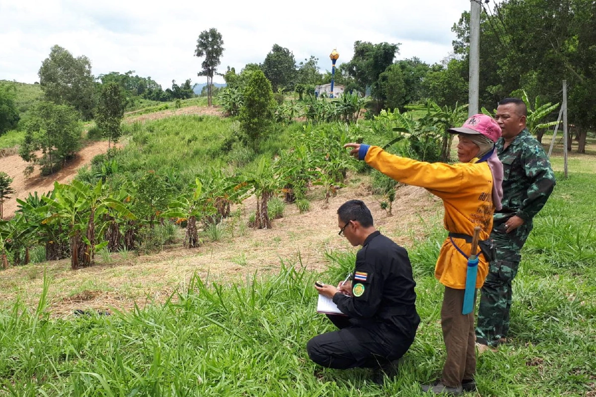 ชุดชป.จับราษฎรบุกรุกป่าเขาค้อยึดที่ดิน10ไร่เศษคืน