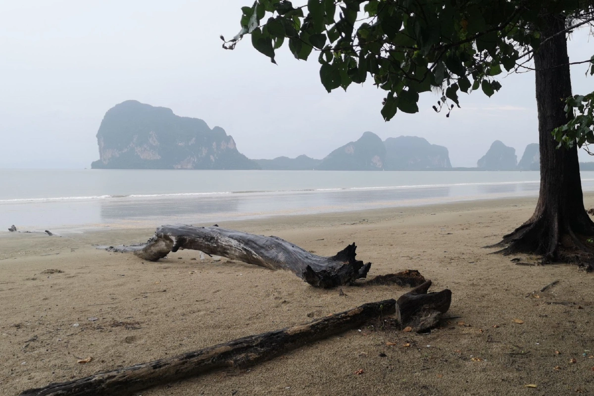 ตรังเปิดเที่ยวทะเลแบบ New Nomal วันแรกเงียบเหงา