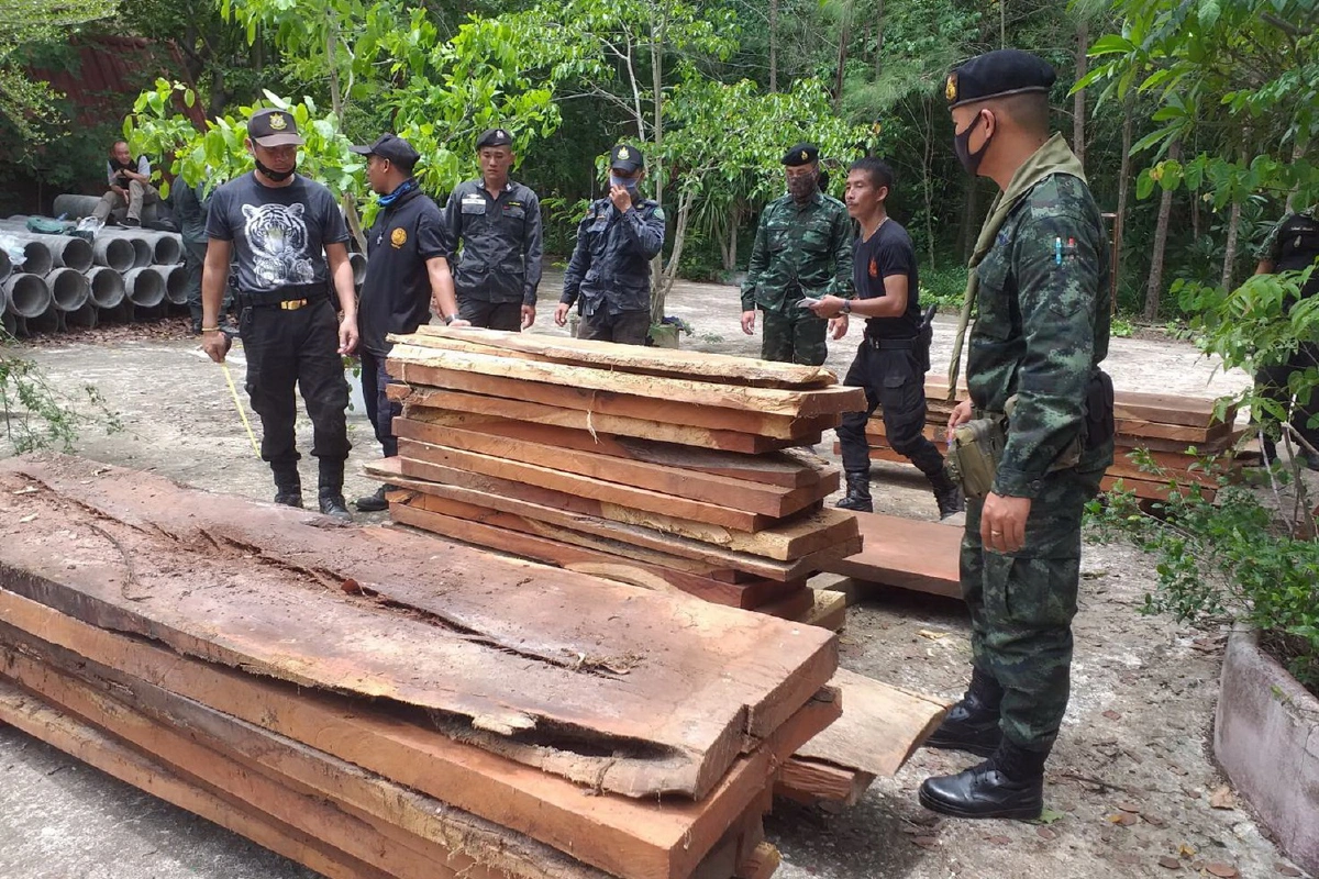 ป่าไม้กาญจน์ค้นวัดดังรอบ2ยึดไม้แปรรูปเถื่อนซุกใต้ถุนโบสถ์