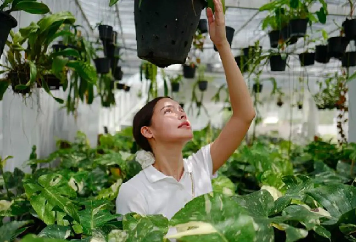 "มาริโอ้" ได้รับผลกระทบจาก "ญาญ่า” ขอร้องให้เลิกโพสต์ภาพกับต้นไม้ ซื้อไม่ไหว