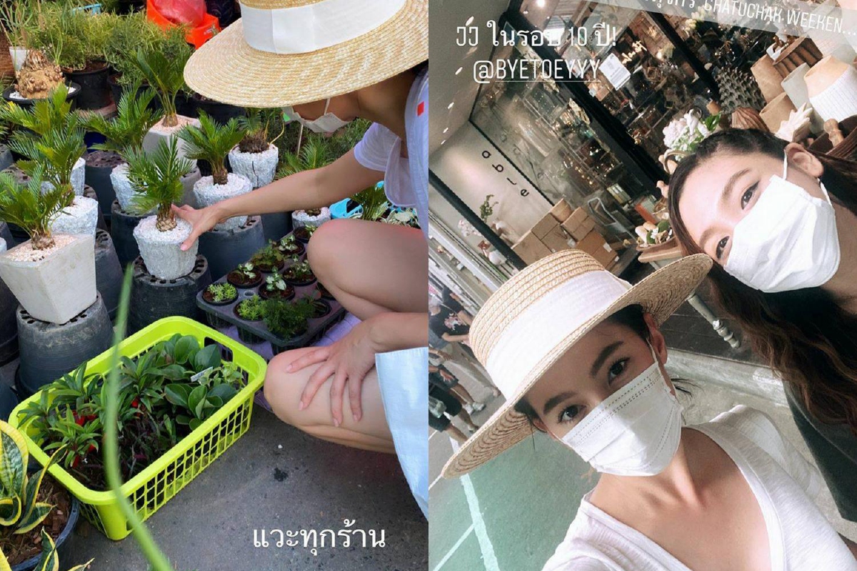 เบลล่า เดินซื้อต้นไม้ที่สวนจตุจักรในรอบ 10 ปี เจ้าตัวถึงกับงง..พกเงินติดตัวมาแค่นี้ เบลล่า เดินซื้อต้นไม้ที่สวนจตุจักรในรอบ 10 ปี เจ้าตัวถึงกับงง..พกเงินติดตัวมาแค่นี้