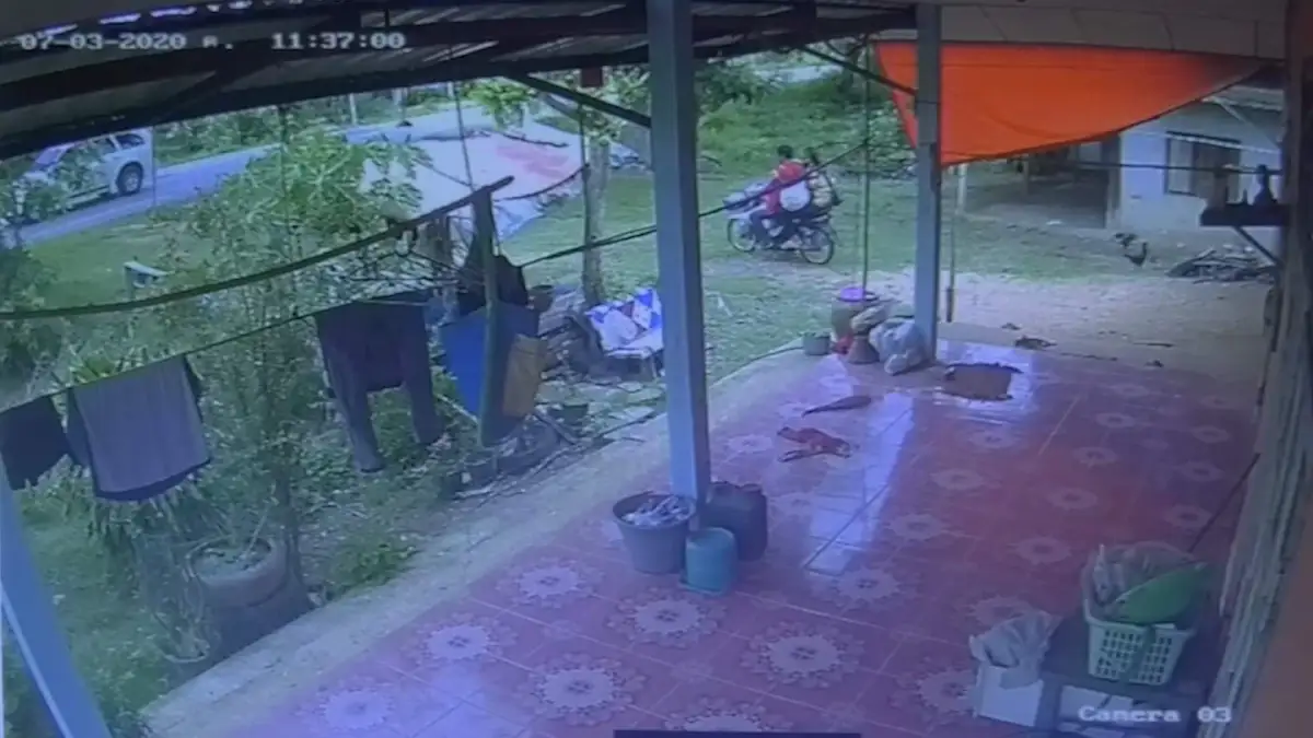 2 โจรขี่จยย.ฉกข้าวเปลือกในบ้านไป 2 กระสอบตอนกลางวันแสกๆ