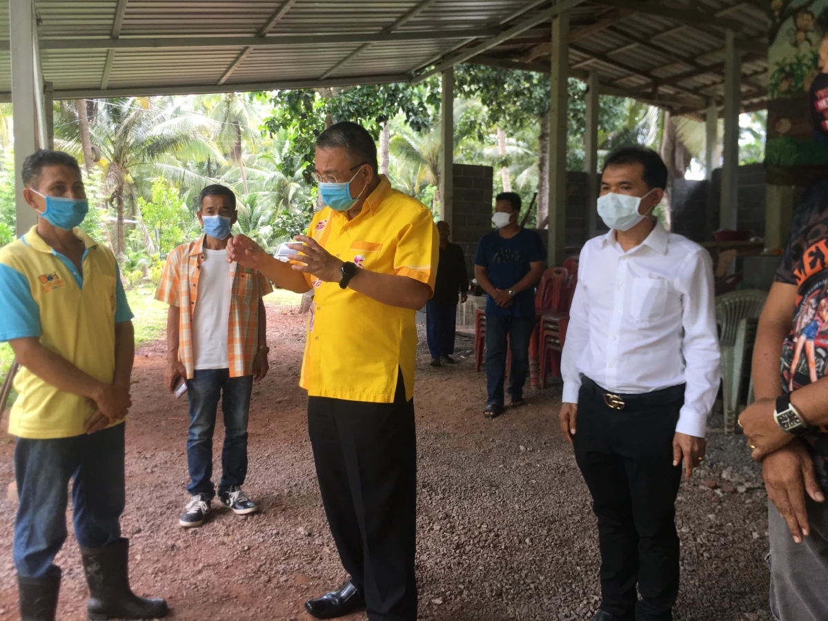 ชาวสวนยันเลี้ยงเหมือนลูกไม่มีอะไรมาเก็บมะพร้าวแทนลิงได้