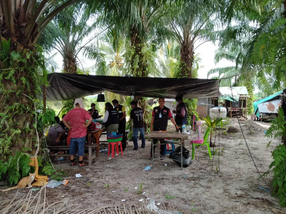 บุกจับผีพนันคาสวนปาล์มลักลอลเล่นโปปั่นฝ่าฝืนพรก.ฉุกเฉิน