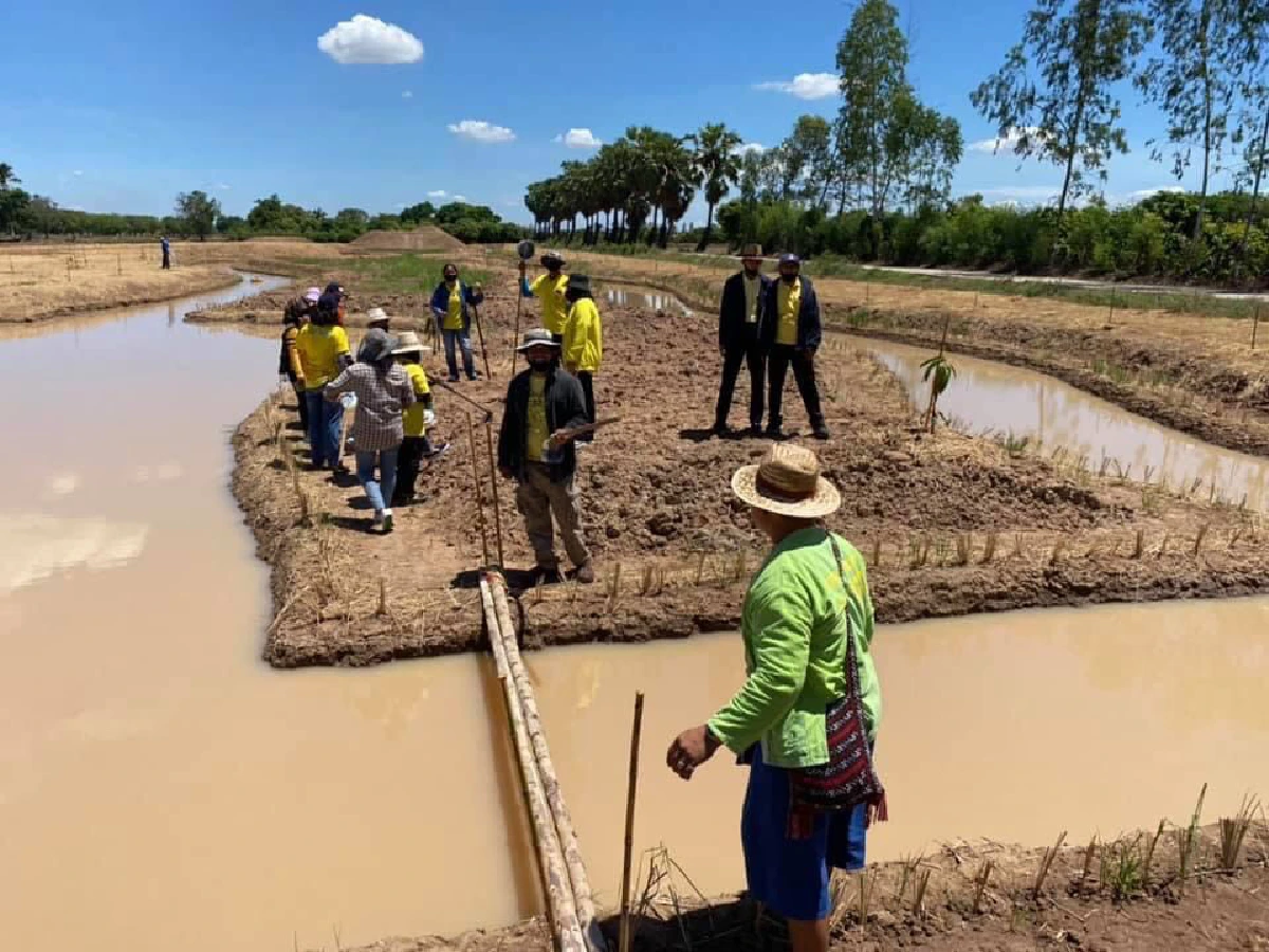 แห่ร่วมกิจกรรม"เอามื้อสามัคคี"เรียนรู้ต้นแบบหลักทฤษฎีใหม่ ร.9