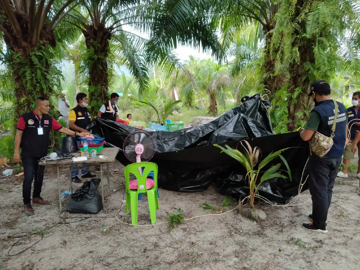 บุกจับผีพนันคาสวนปาล์มลักลอลเล่นโปปั่นฝ่าฝืนพรก.ฉุกเฉิน