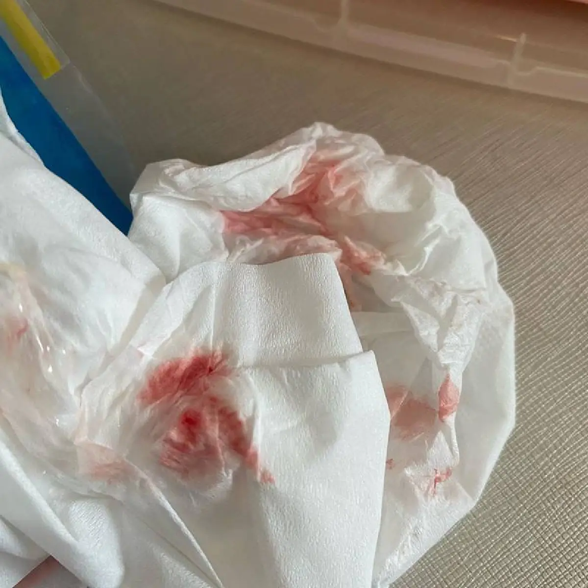 “นุ้ย สุจิรา” ถูก “น้องรพี” จระเข้ฟาดหางจนเลือดไหลออกจมูก รู้ซึ้ง! อยากให้โรงเรียนเปิด 