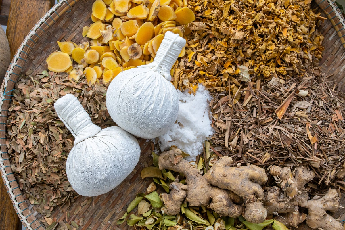 'หมอยา ท่าสุขสยาม' มหัศจรรย์สมุนไพรไทยเที่ยวไปให้มีความรู้