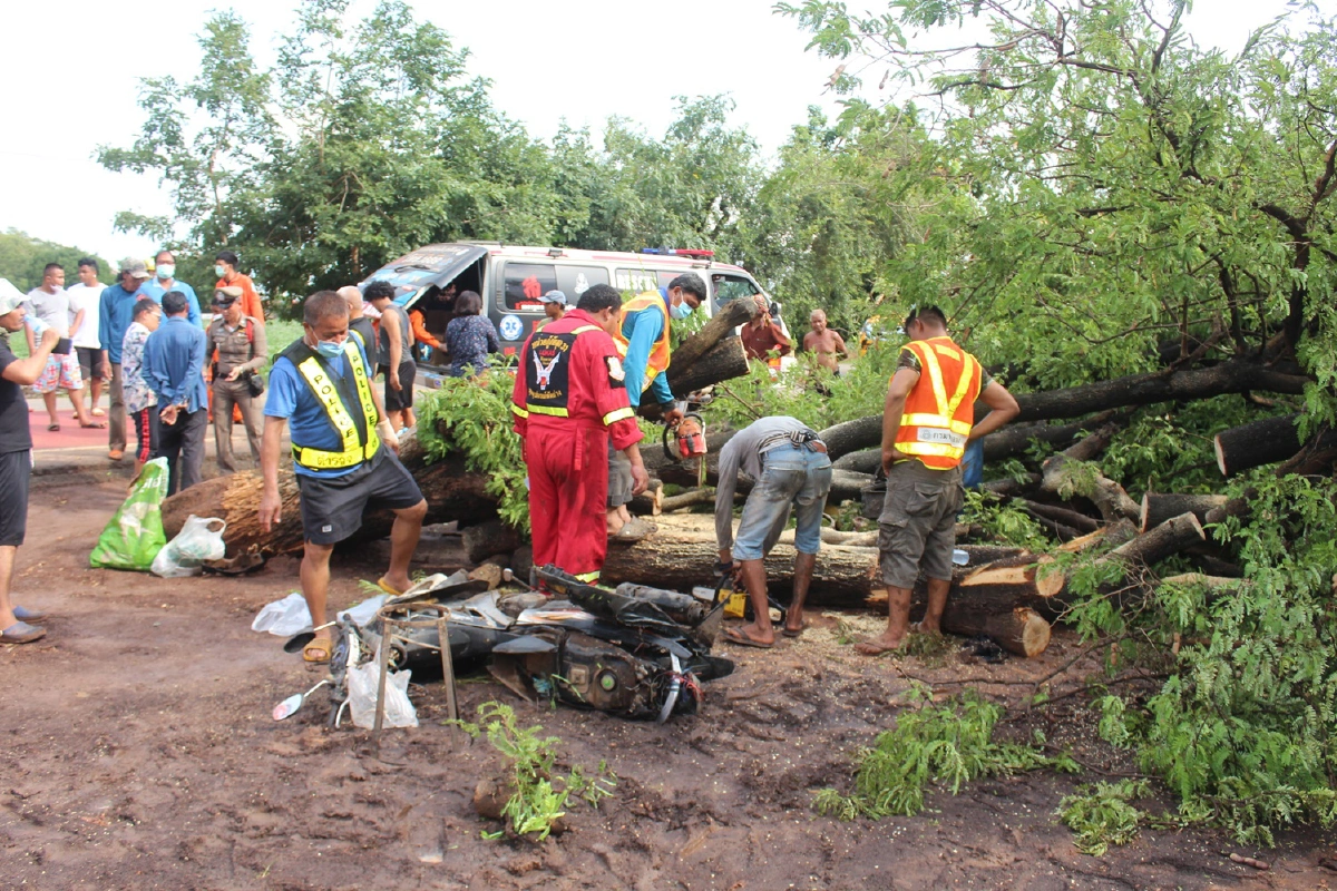 แม่ค้าขายไส้กรอกหลบฝนเจอพายุพัดต้นมะขามหักโค่นทับร่างดับ