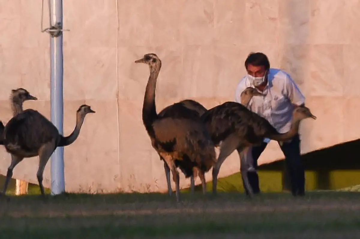 ผู้นำบราซิลบ่นกักตัวอยู่บ้านน่าเบื่อ เล็งตรวจโควิดอีกรอบ