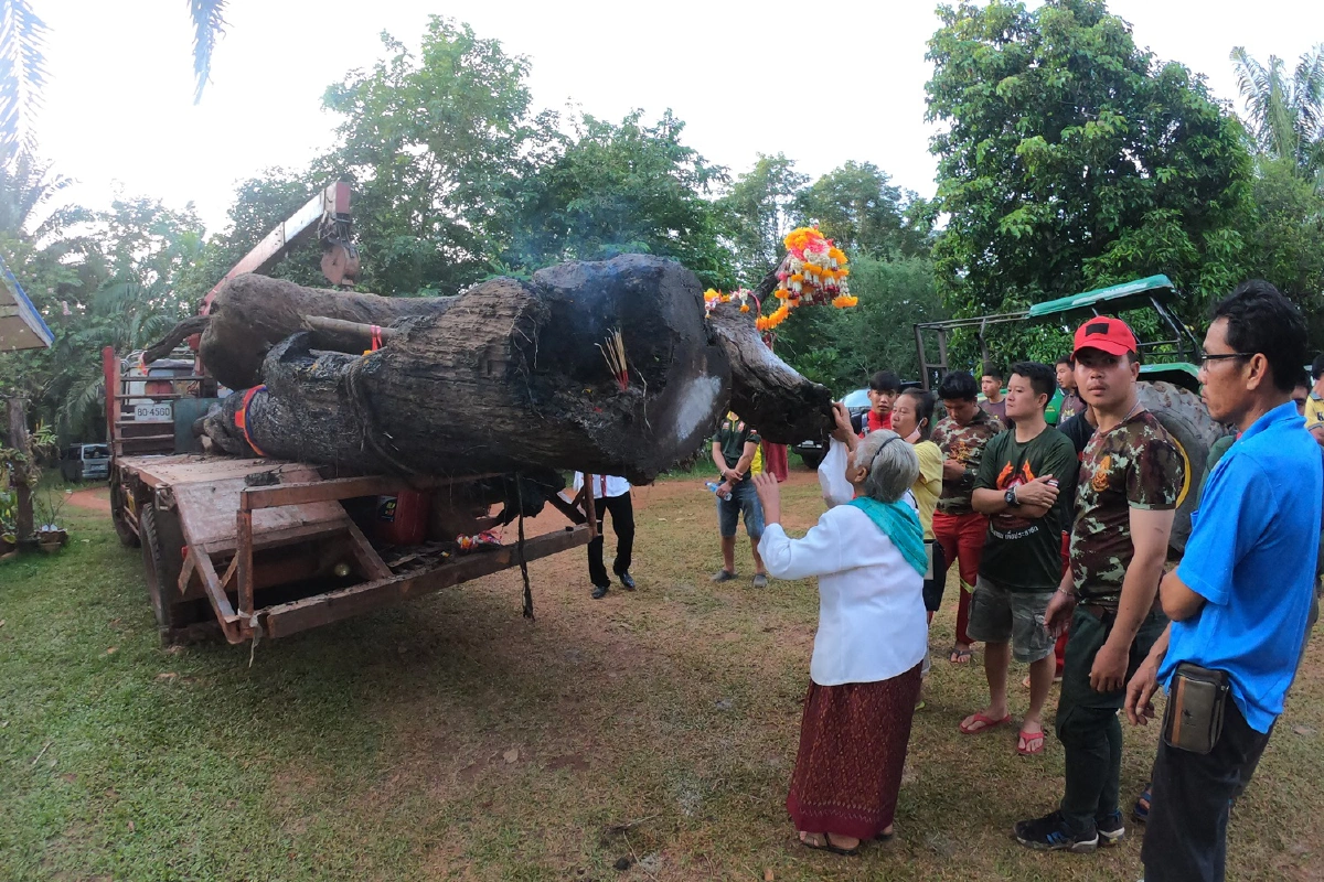 ไม้ตะเคียนคู่อายุนับพันปีจมใต้น้ำชาวบ้านแห่ขอโชคลาภ