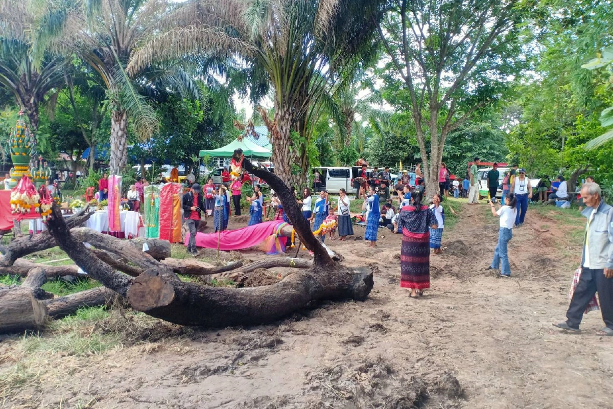 ไม้ตะเคียนคู่อายุนับพันปีจมใต้น้ำชาวบ้านแห่ขอโชคลาภ