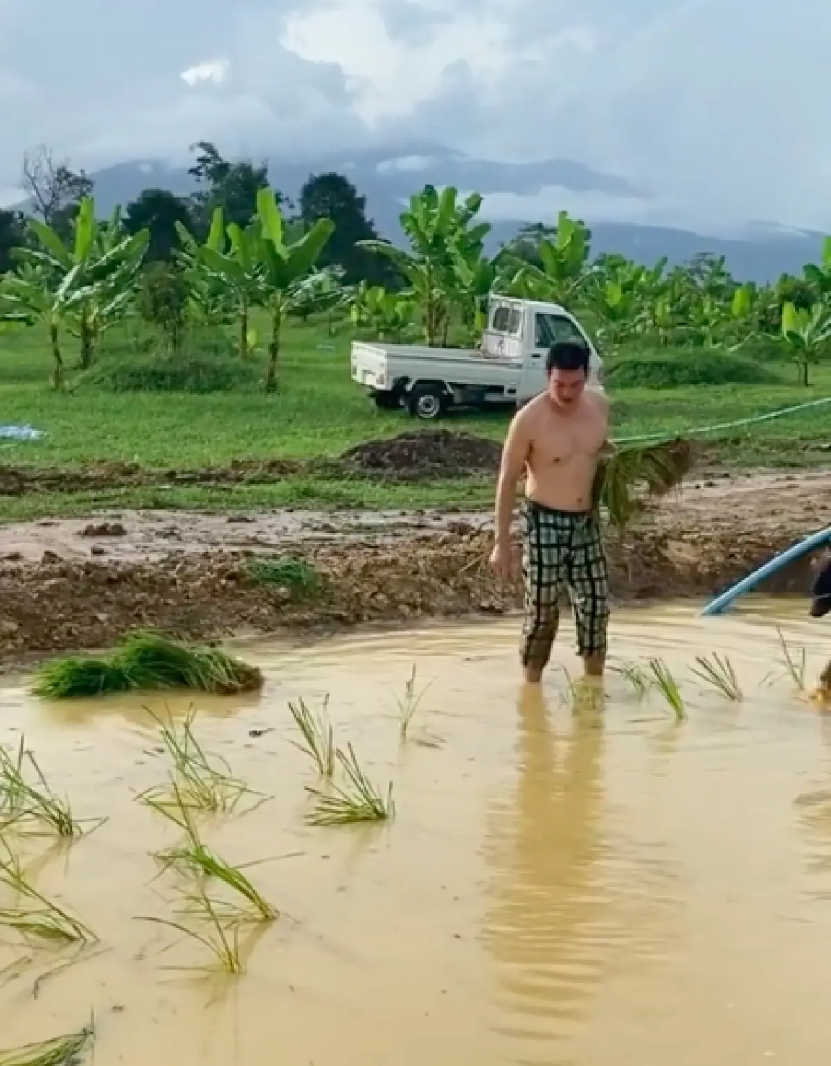  โมเมนต์ชิลๆ "ชาคริต"  กับกิจกรรมวันว่างงาน ใช้ชีวิตบ้านๆ ทำนา-เล่นน้ำในบ่อ