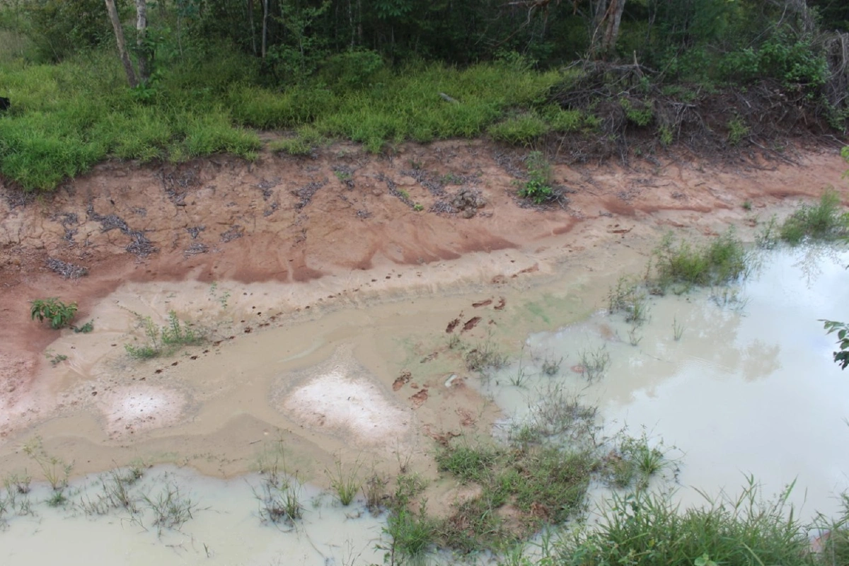 คุณตาวัย 87 หลงป่าทับลานนานเกือบ 2 วันรอดชีวิต