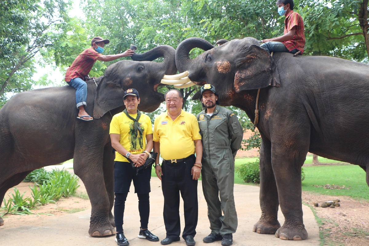 บิณฑ์-เอกพันธ์ นำอาหารกว่า10ตันเลี้ยงช้างสุรินทร์มอบเงินช่วยเหลือควาญ