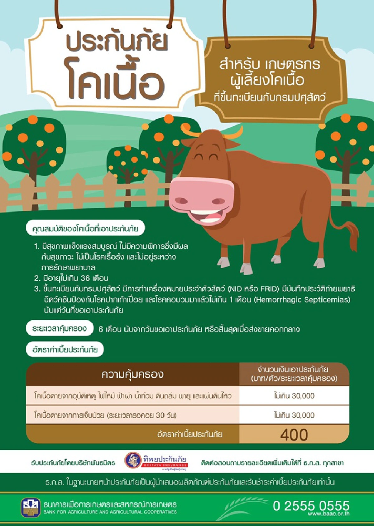 ธ.ก.ส. เปิดตัวโครงการประกันภัยโคเนื้อ