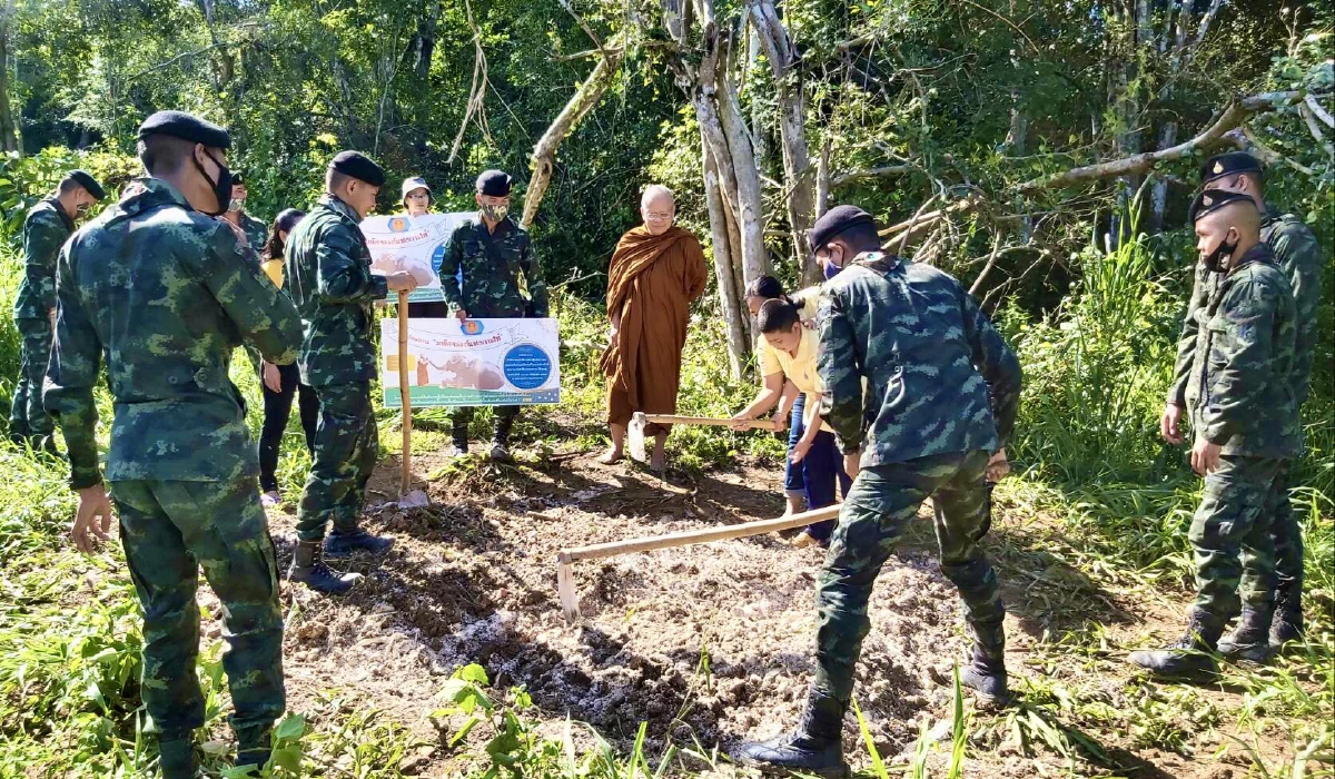 "พระเท้าเปล่า"ชวนชาวบ้านทหารทำโป่งเทียมปลูกหญ้าเป็นอาหารช้าง