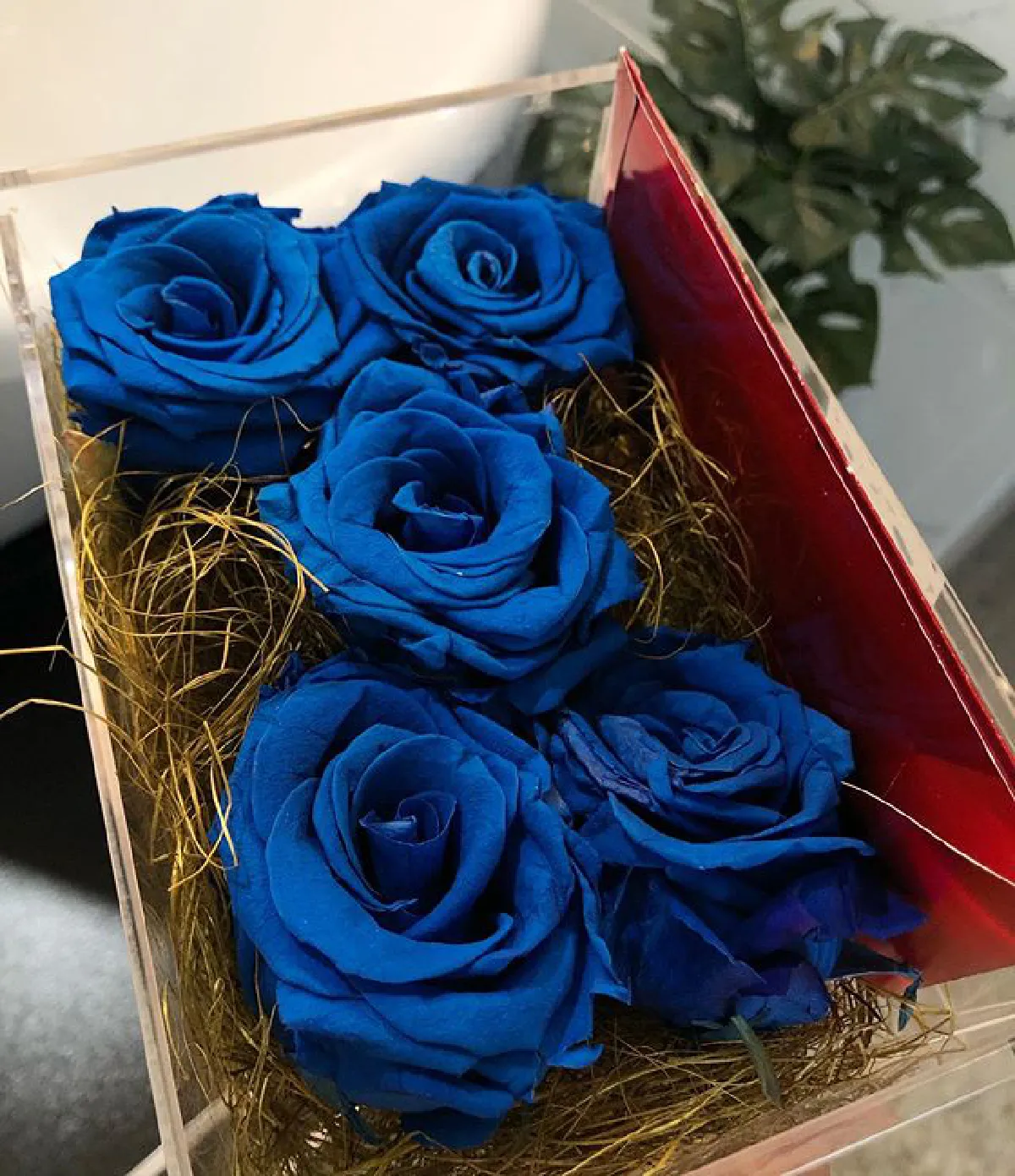 แพร พรรัมภา ยิ้มแก้มฉีก! เชน เซอร์ไพรส์วันเกิดด้วยของขวัญราคาหลักแสน