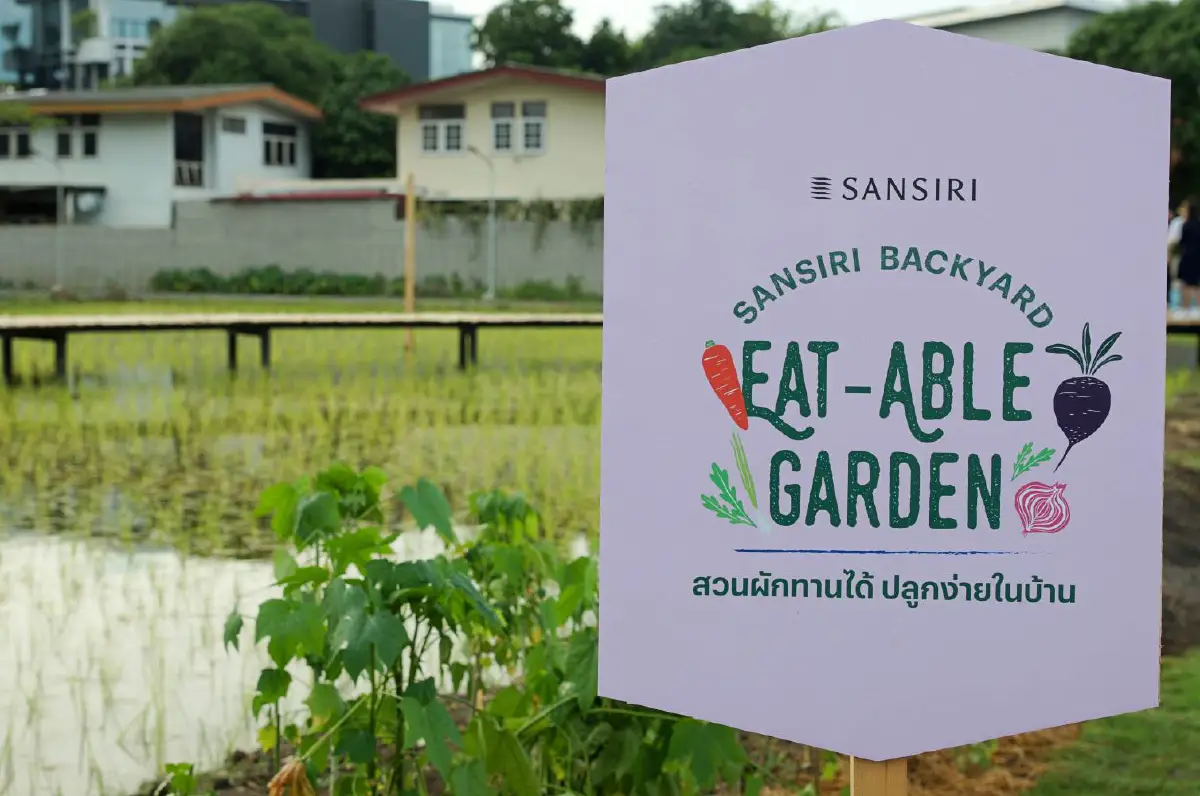 พื้นที่สีเขียวจากทุกที่ว่าง สู่แหล่งอาหารของชุมชน