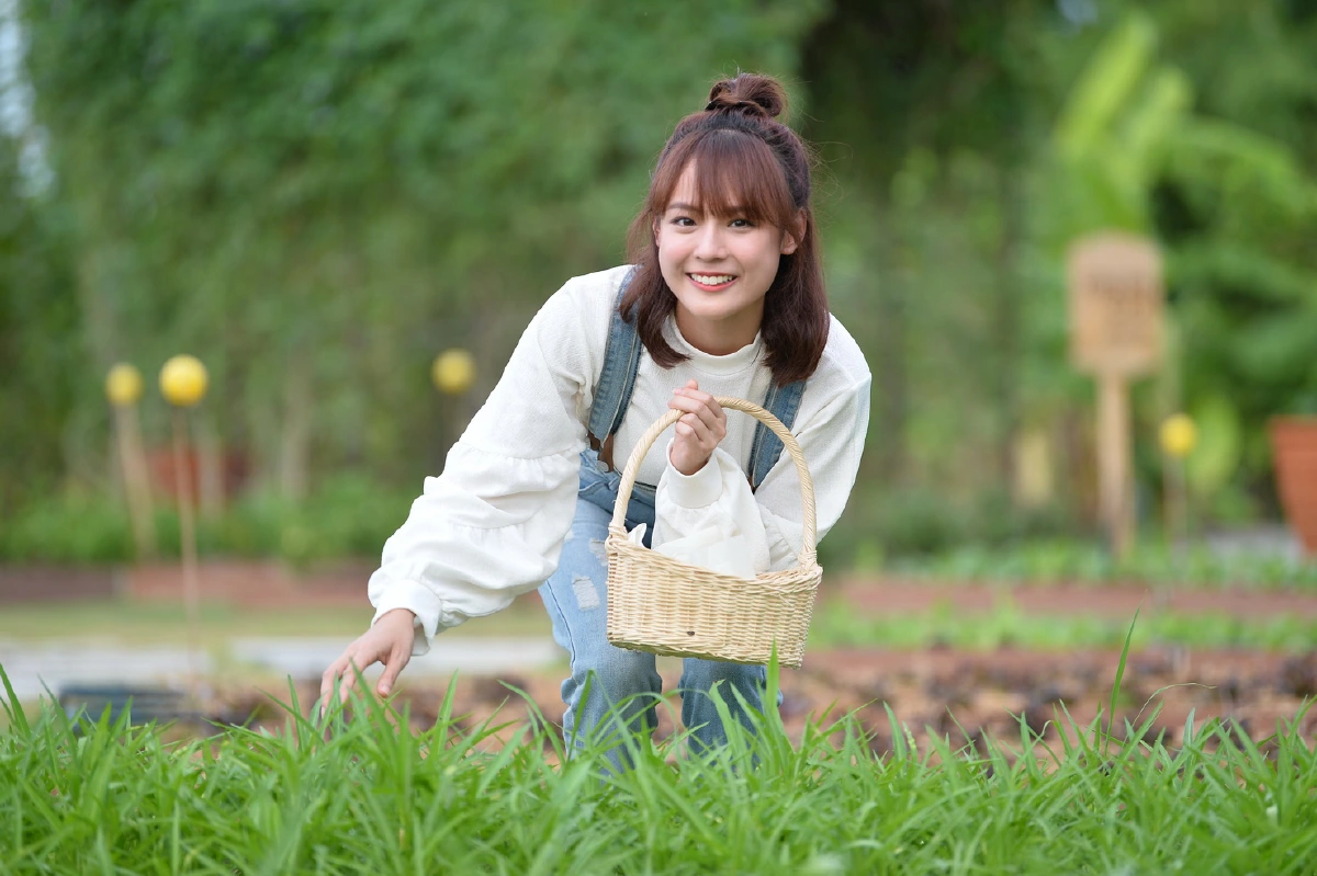 พื้นที่สีเขียวจากทุกที่ว่าง สู่แหล่งอาหารของชุมชน