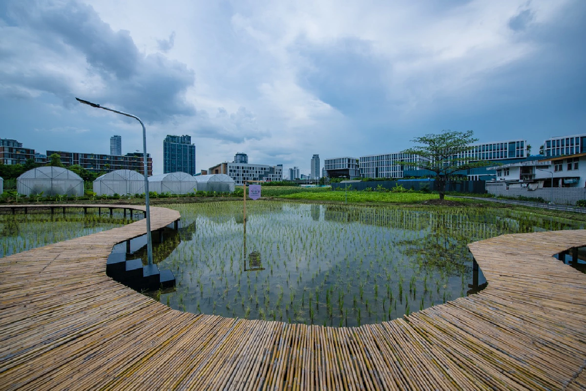 พื้นที่สีเขียวจากทุกที่ว่าง สู่แหล่งอาหารของชุมชน