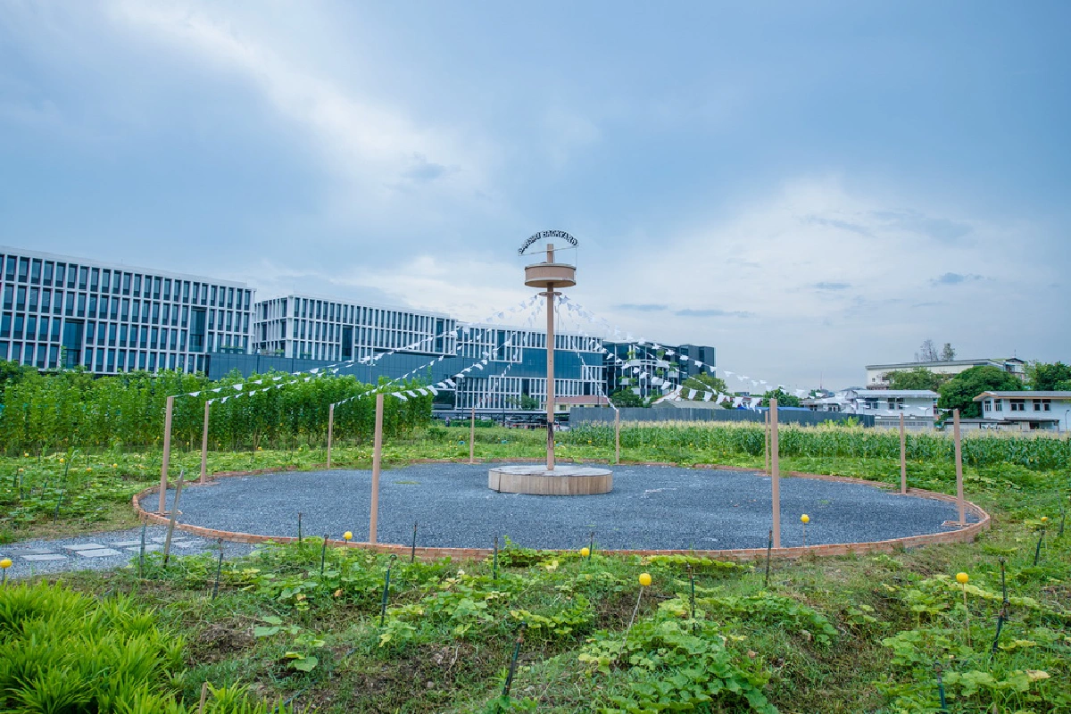 พื้นที่สีเขียวจากทุกที่ว่าง สู่แหล่งอาหารของชุมชน