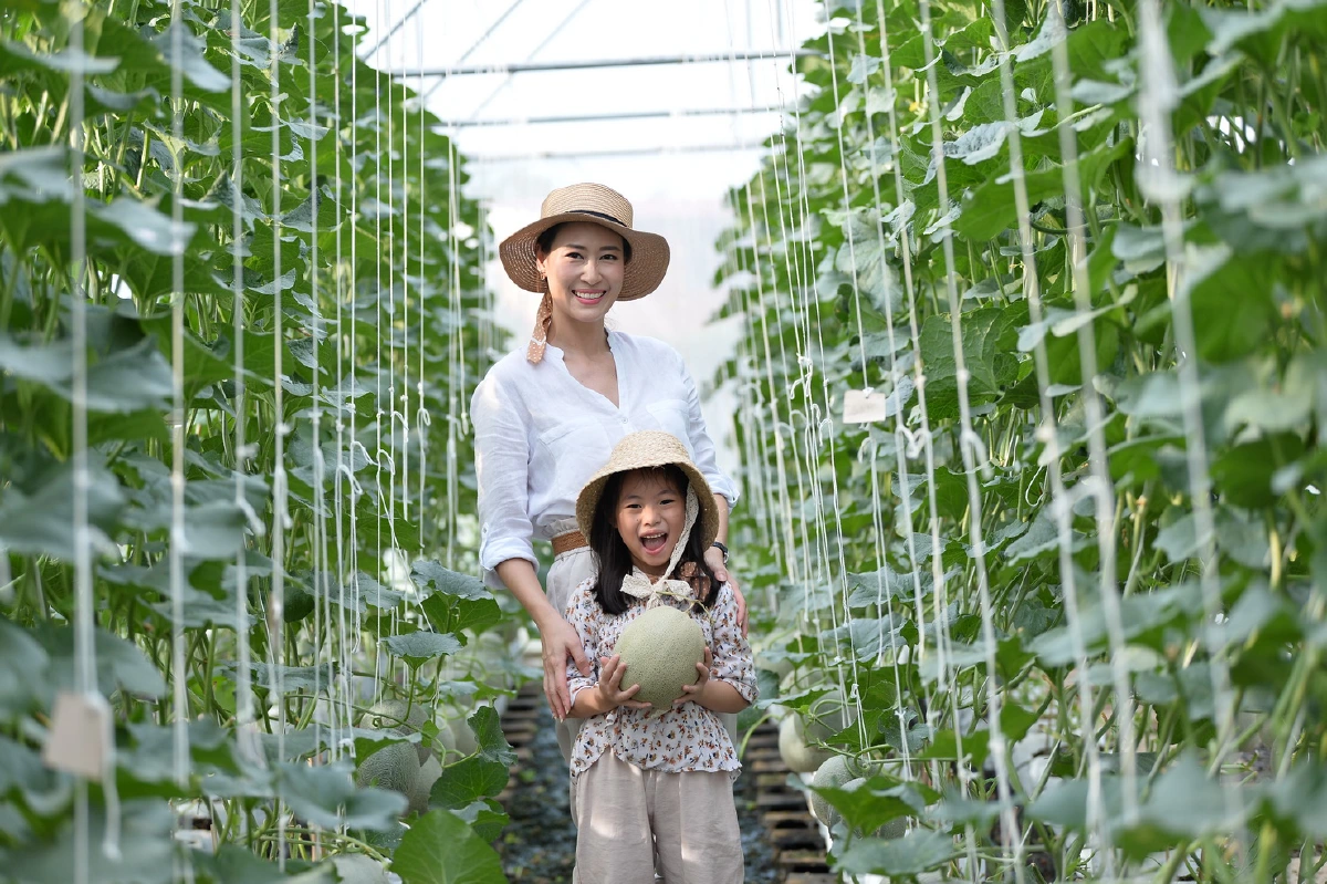 พื้นที่สีเขียวจากทุกที่ว่าง สู่แหล่งอาหารของชุมชน