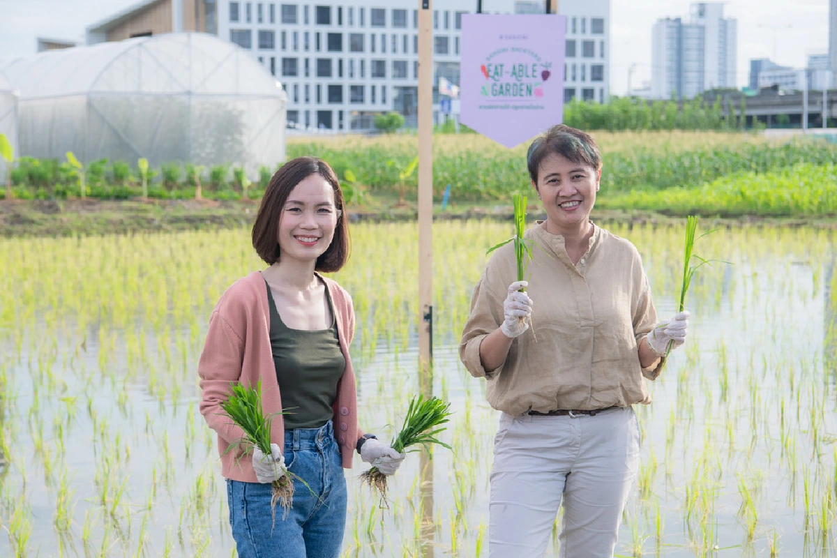 พื้นที่สีเขียวจากทุกที่ว่าง สู่แหล่งอาหารของชุมชน