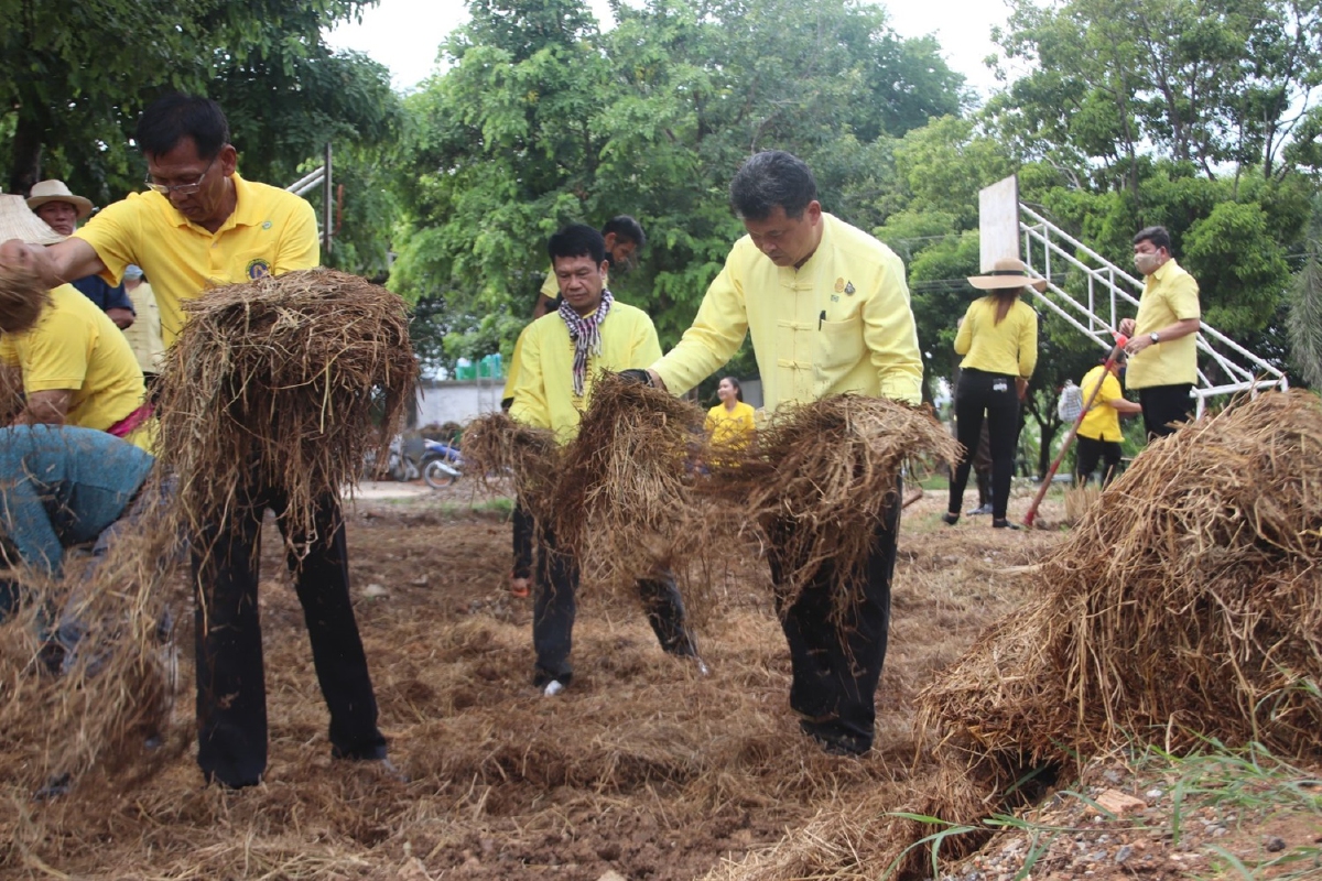 พช.ฝึกปฎิบัติจริง“เอามื้อสามัคคี”พัฒนาคุณภาพชีวิตตามหลักทฤษฎีใหม่ พช.ฝึกปฎิบัติจริง“เอามื้อสามัคคี”พัฒนาคุณภาพชีวิตตามหลักทฤษฎีใหม่