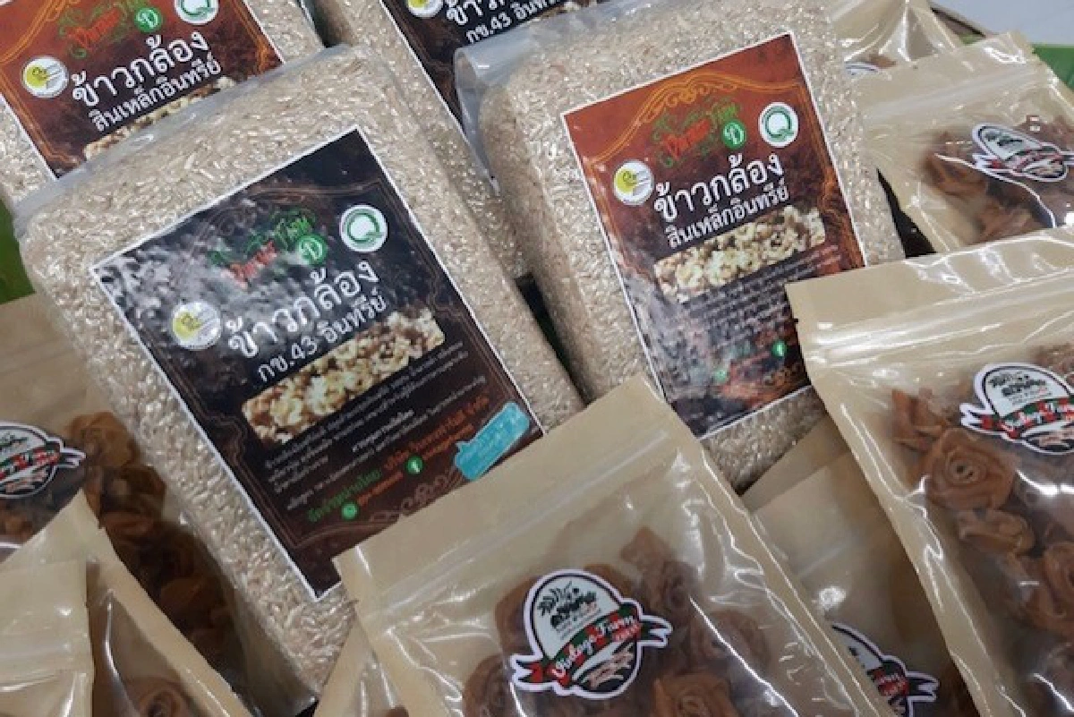 ม.มหิดลผลิตข้าวเป็นยาเหมาะผู้ป่วยเบาหวานเพิ่มรายได้ชุมชน