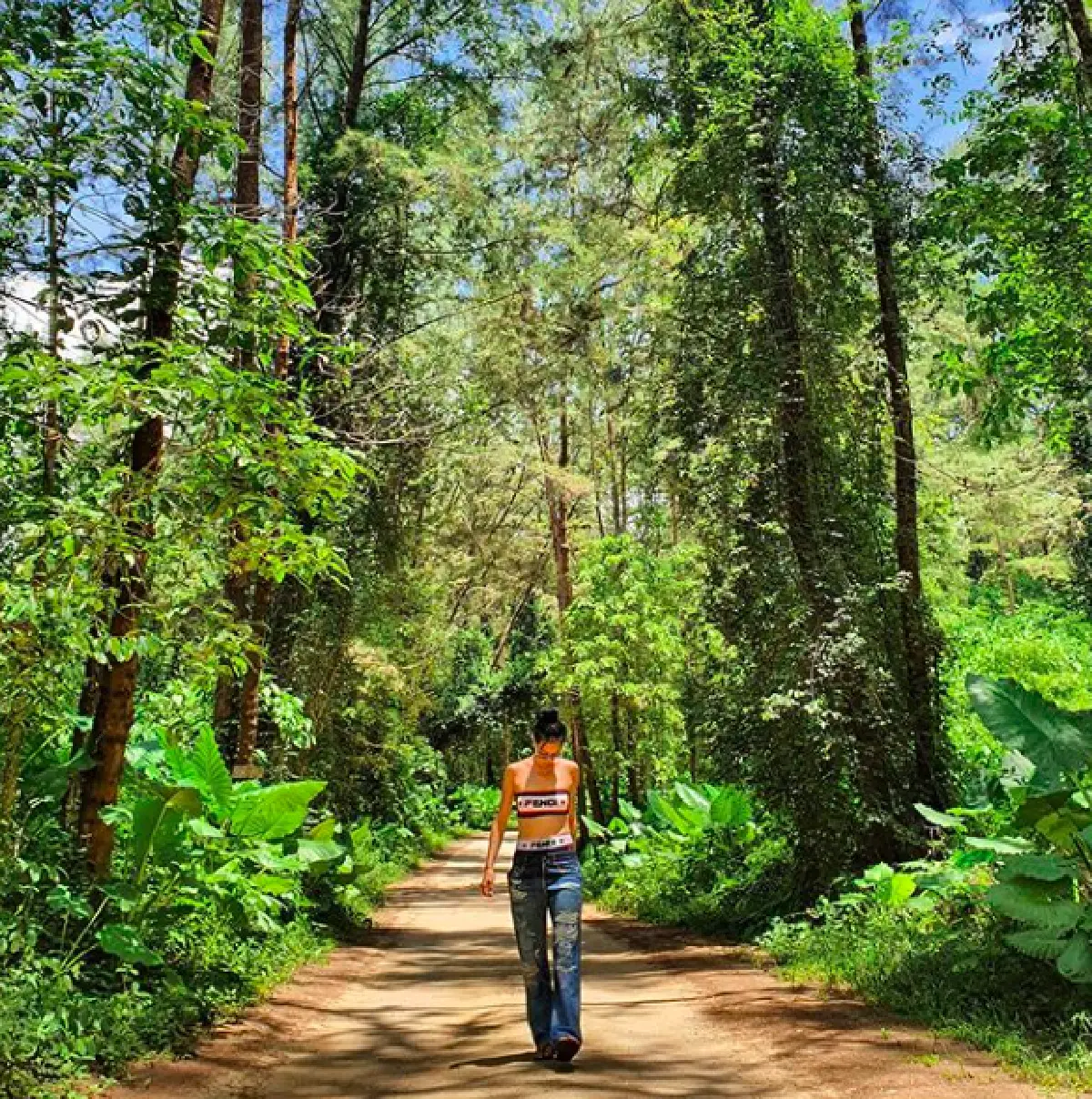 “คริส หอวัง” ร้อนแรงทะลุอุณหภูมิ 39 ฟาดวันพีซเว้าลึก โพสท่าแซ่บ