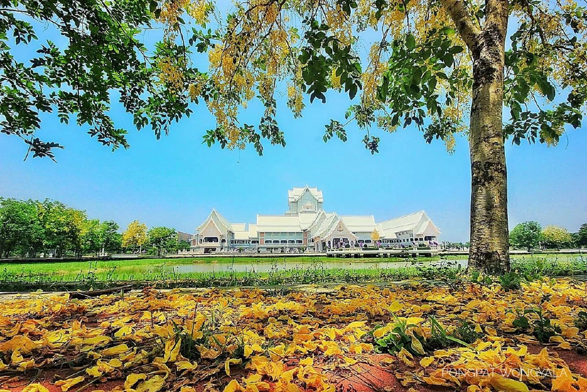 205 ปีปทุมธานี “ใต้ร่มพระบารมี มหาจักรีวงศ์”